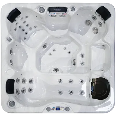 Avalon EC-849L hot tubs for sale in Everett