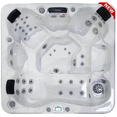 Avalon-X EC-849LX hot tubs for sale in Everett