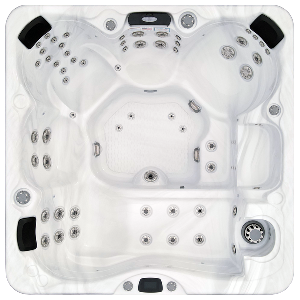Avalon-X EC-867LX hot tubs for sale in Everett
